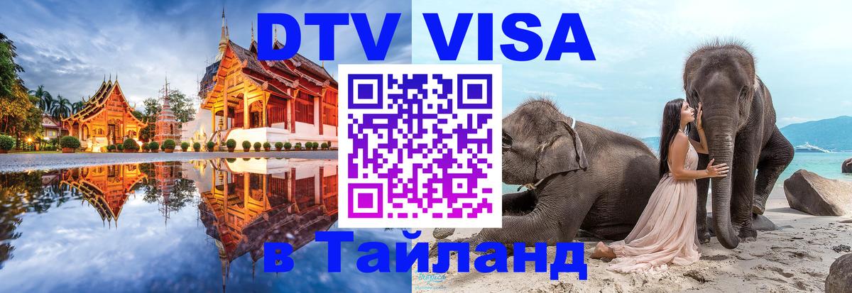 Оформление DTV визы под ключ: стоимость и тарифы, только загранпаспорт - 